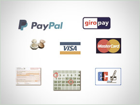 Logo's: Paypal, giropay, Visa, Mastercard, Overboeking, Betaling in termijnen, EC