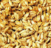 Spelt
