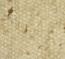 Beige naturel avec des accents fonçés Beige naturel avec des accents fonçés
