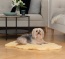 De afmeting 90-100 cm is perfect voor katten en kleine honden De afmeting 90-100 cm is perfect voor katten en kleine honden