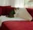 Knuffelzachte, flexibele ligplek voor de poes die tegelijk uw meubels beschermt Knuffelzachte, flexibele ligplek voor de poes die tegelijk uw meubels beschermt
