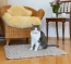 Afmeting 80x60 cm is ideaal geschikt als kattenslaapplaats Afmeting 80x60 cm is ideaal geschikt als kattenslaapplaats