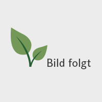 Bio-lattenbodem "Relaxflex" Bio-lattenbodem "Relaxflex"
